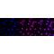 LifeSab™ KD-Validated AP2S1 Rabbit mAb (20 μl)