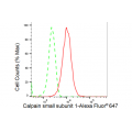 LifeSab™ KD-Validated CAPNS1 Rabbit mAb (20 μl)