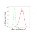 LifeSab™ KD-Validated CD97 Rabbit mAb (20 μl)