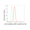 LifeSab™ KD-Validated ARF5 Rabbit mAb (20 μl)