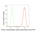 LifeSab™ KD-Validated PDIA1 Rabbit mAb (20 μl)