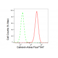 LifeSab™ KD-Validated CANX Rabbit mAb (20 μl)