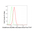 LifeSab™ KD-Validated GSR Rabbit mAb (20 μl)