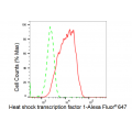 LifeSab™ KD-Validated HSF1 Rabbit mAb (20 μl)