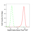 LifeSab™ KD-Validated Hsp90 beta Rabbit mAb (20 μl)