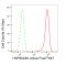 LifeSab™ KD-Validated Hsp90 beta Rabbit mAb (20 μl)