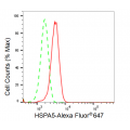 LifeSab™ KD-Validated HSPA5 Rabbit mAb (20 μl)