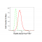 LifeSab™ KD-Validated Hsp60 Rabbit mAb (20 μl)