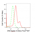 LifeSab™ KD-Validated LIG4 Rabbit mAb (20 μl)