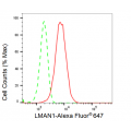 LifeSab™ KD-Validated LMAN1 Rabbit mAb (20 μl)