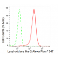 LifeSab™ KD-Validated LOXL2 Rabbit mAb (20 μl)