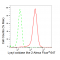 LifeSab™ KD-Validated LOXL2 Rabbit mAb (20 μl)