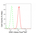 LifeSab™ KD-Validated ERK1 Rabbit mAb (20 μl)