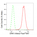 LifeSab™ KD-Validated ERK1 Rabbit mAb (20 μl)