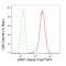 LifeSab™ KD-Validated ERK1 Rabbit mAb (20 μl)