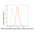 LifeSab™ KD-Validated MAPKAPK2 Rabbit mAb (20 μl)