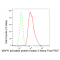 LifeSab™ KD-Validated MAPKAPK2 Rabbit mAb (20 μl)