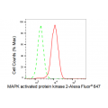 LifeSab™ KD-Validated MAPKAPK2 Rabbit mAb (20 μl)