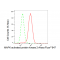 LifeSab™ KD-Validated MAPKAPK2 Rabbit mAb (20 μl)