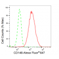 LifeSab™ KD-Validated CD146 Rabbit mAb (20 μl)