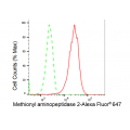 LifeSab™ KD-Validated METAP2 Rabbit mAb (20 μl)