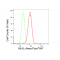 LifeSab™ KD-Validated MLKL Rabbit mAb (20 μl)