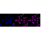 LifeSab™ KD-Validated MLKL Rabbit mAb (20 μl)