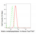 LifeSab™ KD-Validated MMP14 Rabbit mAb (20 μl)