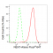 LifeSab™ KD-Validated NEK7 Rabbit mAb (20 μl)