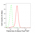 LifeSab™ KD-Validated Paired box 6 Rabbit mAb (20 μl)