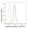 LifeSab™ KD-Validated Paired box 6 Rabbit mAb (20 μl)