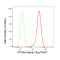 LifeSab™ KD-Validated PFKM Rabbit mAb (20 μl)