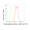 LifeSab™ KD-Validated PGK1 Rabbit mAb (20 μl)