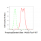 LifeSab™ KD-Validated PGK1 Rabbit mAb (20 μl)