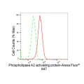 LifeSab™ KD-Validated PLAA Rabbit mAb (20 μl)