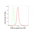 LifeSab™ KD-Validated PPM1G Rabbit mAb (20 μl)