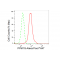 LifeSab™ KD-Validated PPM1G Rabbit mAb (20 μl)