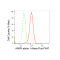 LifeSab™ KD-Validated AMPKA1 Rabbit mAb (20 μl)