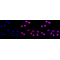 LifeSab™ KD-Validated AMPKA1 Rabbit mAb (20 μl)