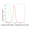 LifeSab™ KD-Validated Phospho-AMPKA1 (S496) Rabbit mAb (20 μl)