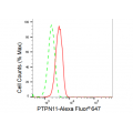 LifeSab™ KD-Validated PTPN11 Rabbit mAb (20 μl)