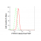 LifeSab™ KD-Validated PTPN11 Rabbit mAb (20 μl)