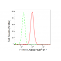 LifeSab™ KD-Validated PTPN11 Rabbit mAb (20 μl)