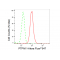 LifeSab™ KD-Validated PTPN11 Rabbit mAb (20 μl)