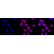 LifeSab™ KD-Validated PVR Rabbit mAb (20 μl)