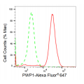 LifeSab™ KD-Validated PWP1 Rabbit mAb (20 μl)