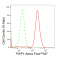 LifeSab™ KD-Validated PWP1 Rabbit mAb (20 μl)