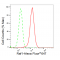 LifeSab™ KD-Validated Raf1 Rabbit mAb (20 μl)