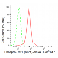 LifeSab™ KD-Validated Phospho-Raf1 (S621) Rabbit mAb (20 μl)