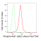 LifeSab™ KD-Validated Phospho-Raf1 (S621) Rabbit mAb (20 μl)